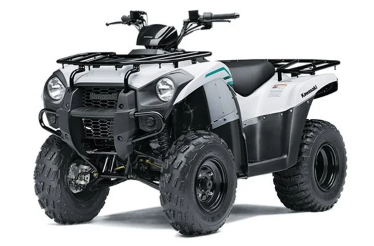 2023 KAWASAKI BRUTE FORCE 300 - White